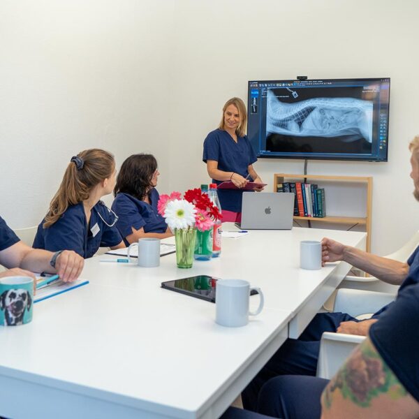 Bild Besprechung Team