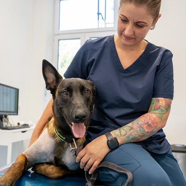 Foto Betreuung Patient